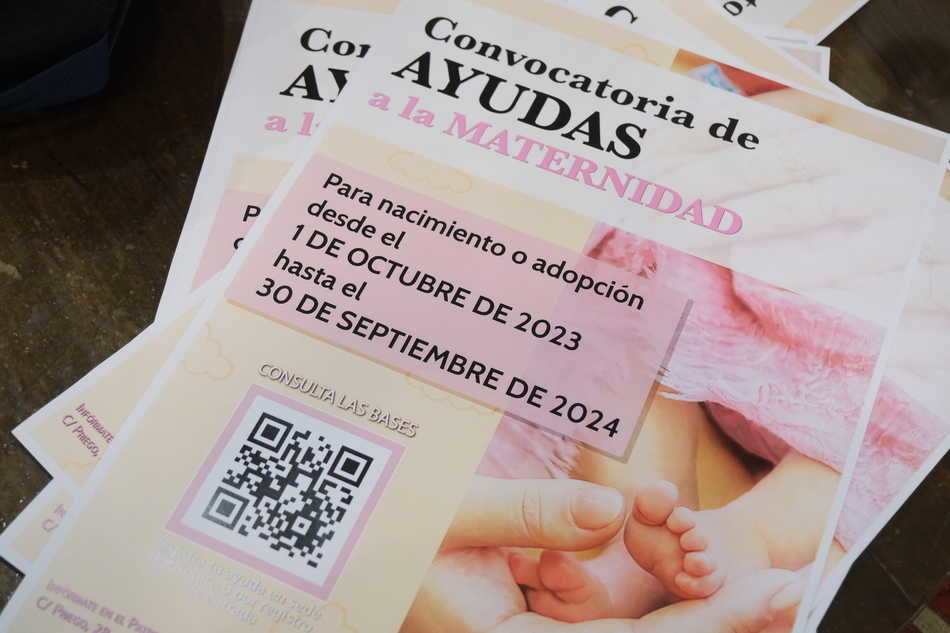 Ayudas a la Maternidad y Adopción_(26-09-2024)_5 (1)